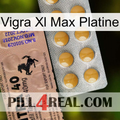 Vigra Xl Max Platinum 41